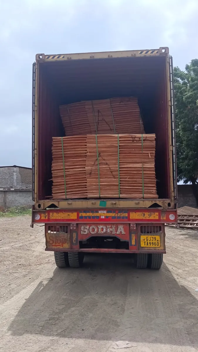 Eucalyptus Core Veneer