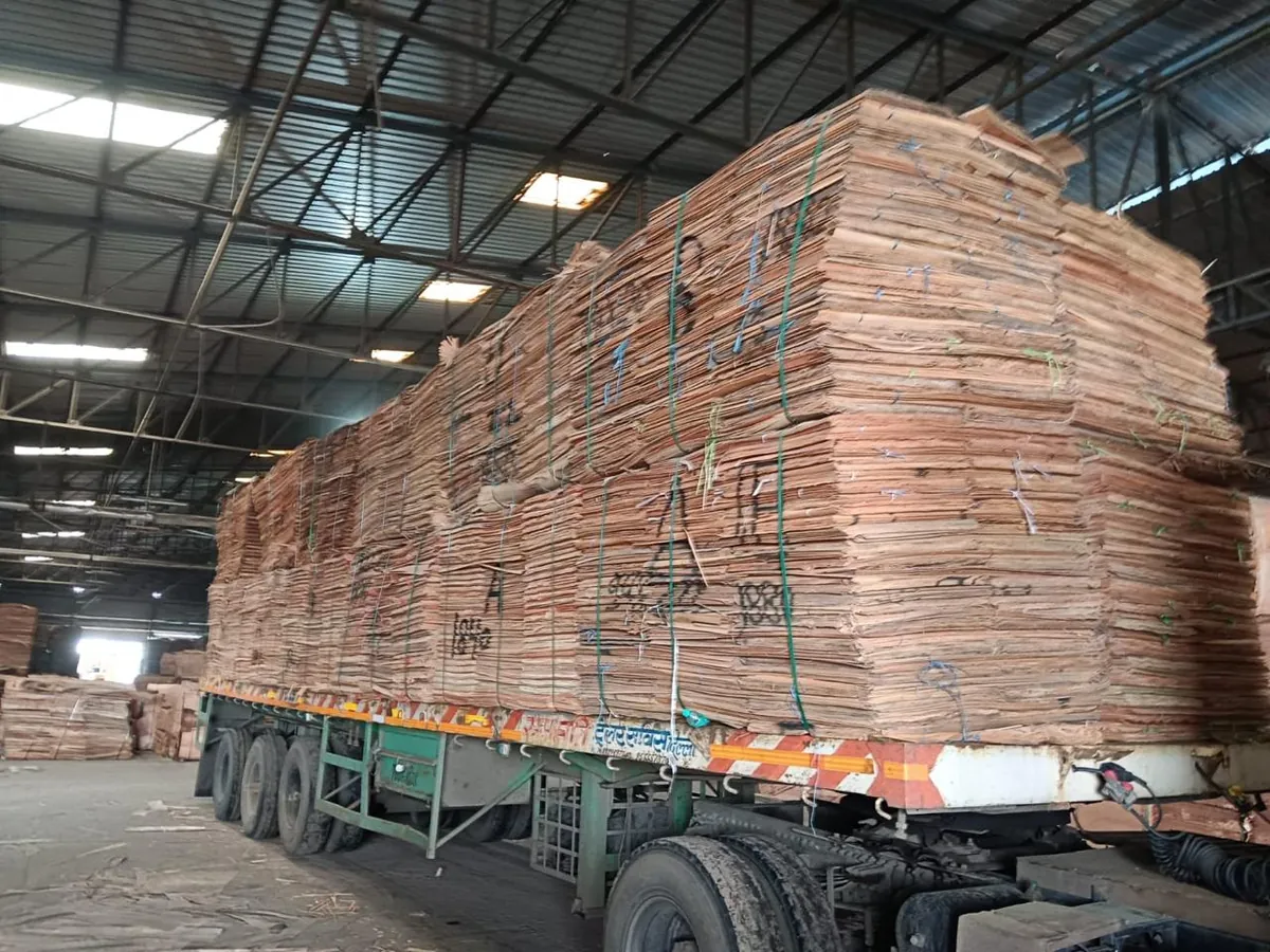 Eucalyptus Core Veneer