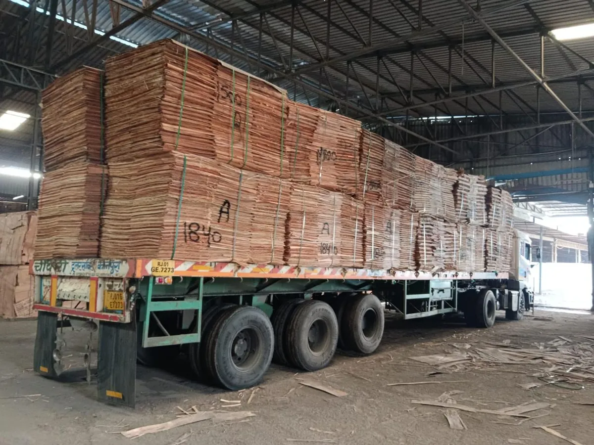 Eucalyptus Core Veneer