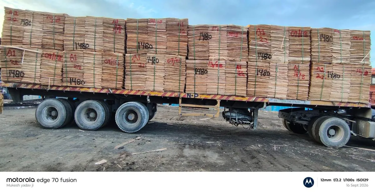 Eucalyptus Core Veneer