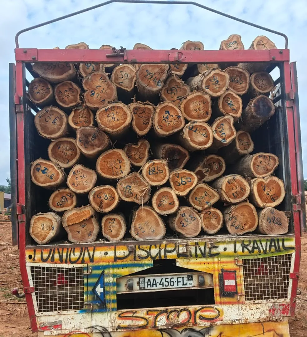 Teak Sawn Wood