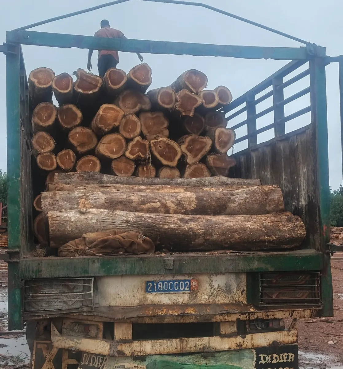 Teak Sawn Wood