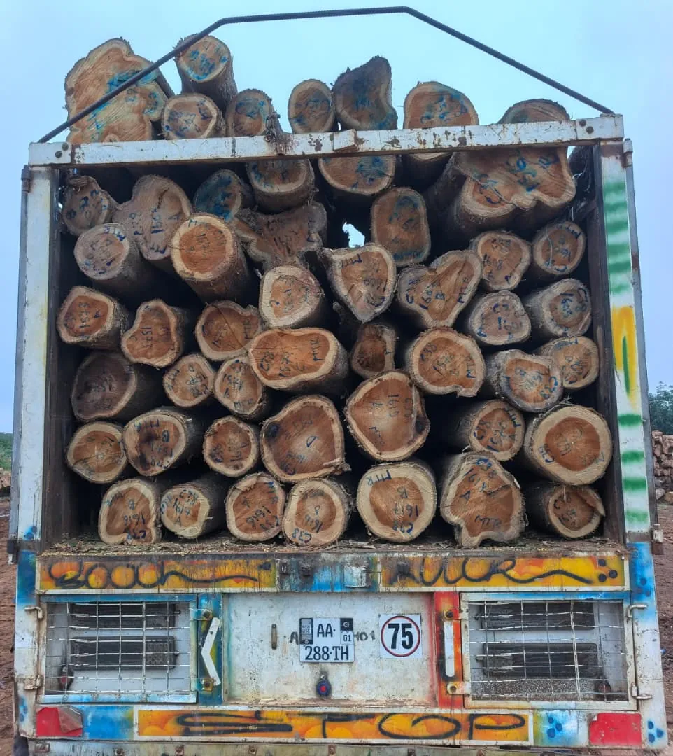 Teak Sawn Wood