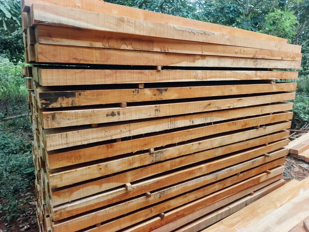 Teak Sawn Wood
