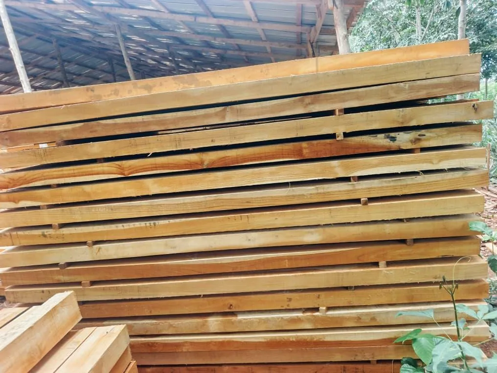 Teak Sawn Wood
